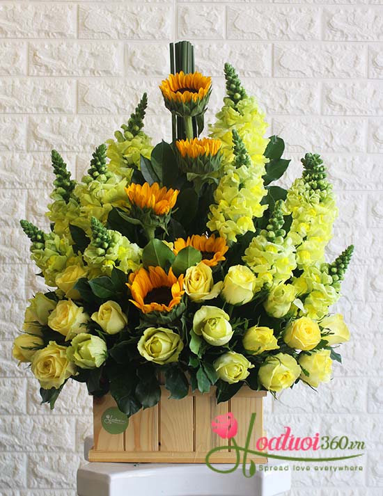 Hộp hoa ngày rực rỡ tại Hoa tươi 360 Hộp hoa ngày rực rỡ tại Hoa tươi 360